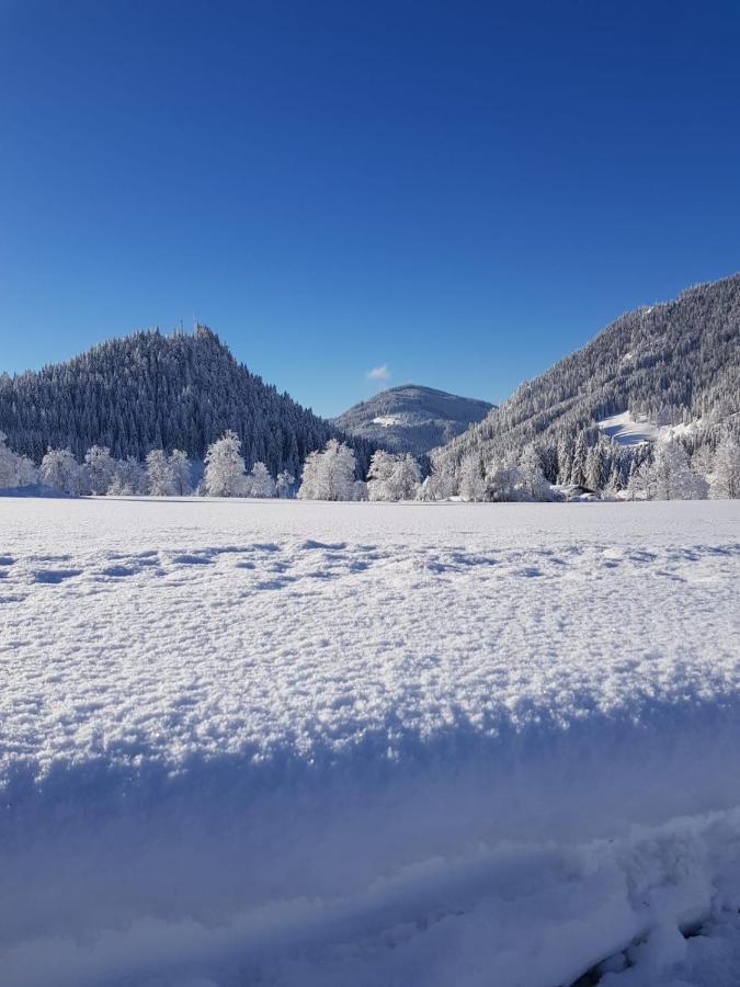 Landhaus Theresia Sankt Martin am Tennengebirge Esterno foto